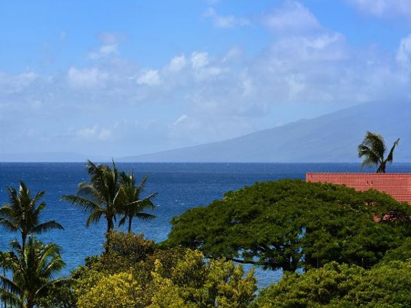 Kaanapali Vacation Condo One Bedroom Walk to Beach
