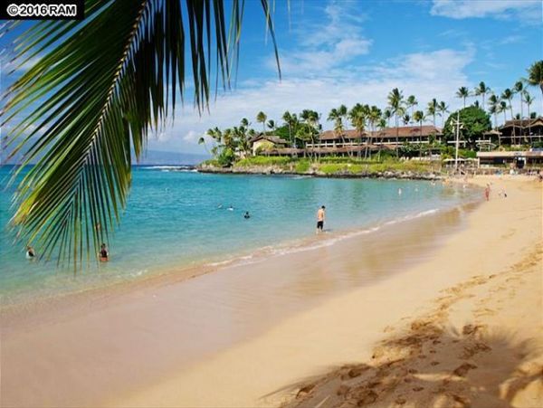 Luxury Vacation Rental in Napili Your Perfect Hawaiian Getaway