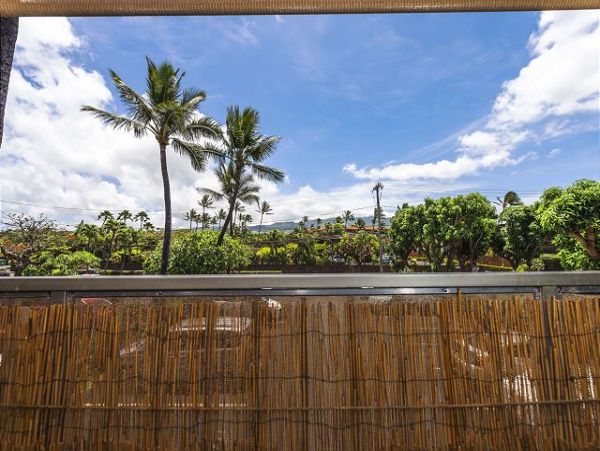 Kaanapali Condo 967465