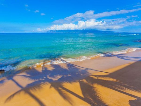 Kaanapali Condo 967465