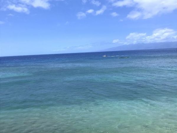 Kaanapali Condo 967466