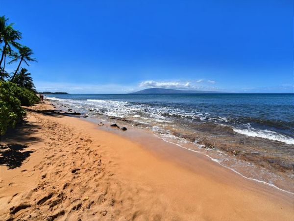 Kaanapali Condo 967466