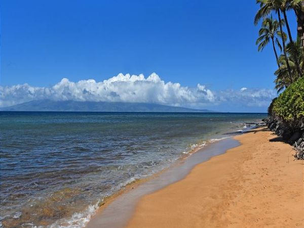 Kaanapali Condo 967466