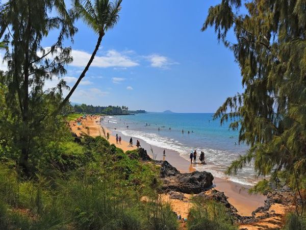 Vacation Rental Oasis in Kihei