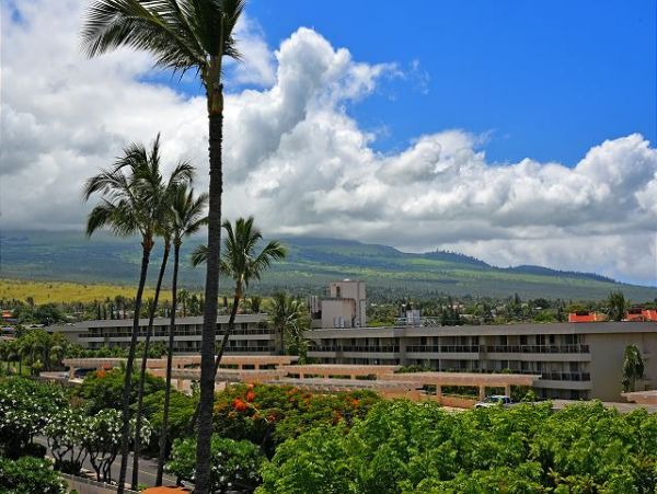 Wailea Condo 967471