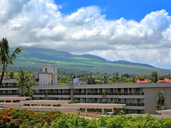 Wailea Condo 967471