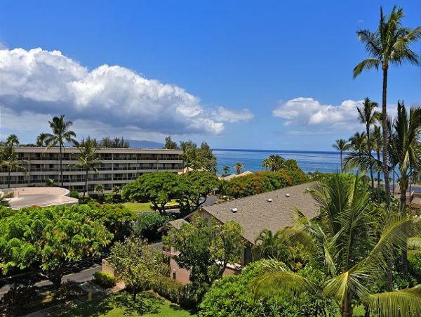 Wailea Condo 967471