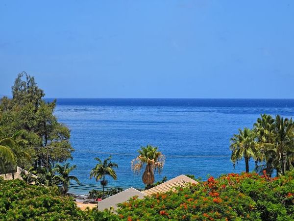 Wailea Condo 967471