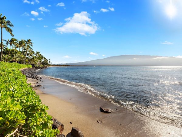 Oceanfront Condo with Spectacular Views & Beach Access