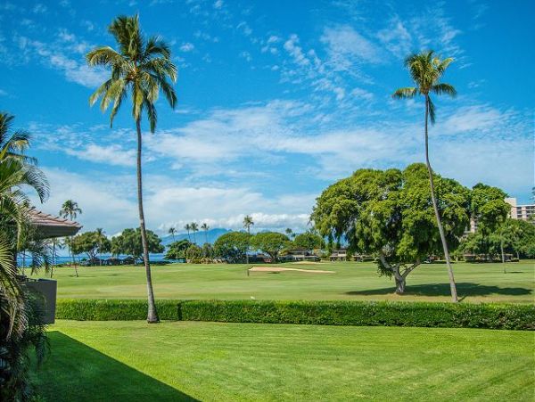 Kaanapali Condo 967475