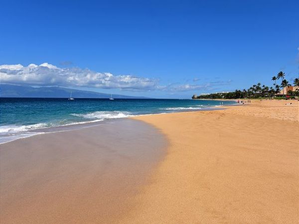 Kaanapali Condo 967475