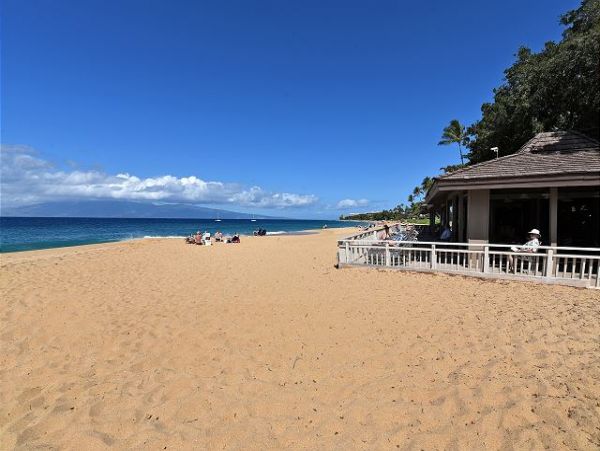 Kaanapali Condo 967475