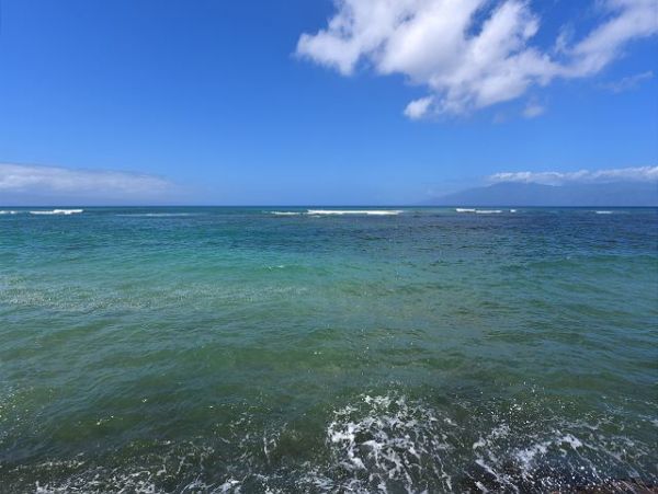 Kahana Condo 967476