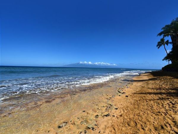 Kaanapali Condo 967487