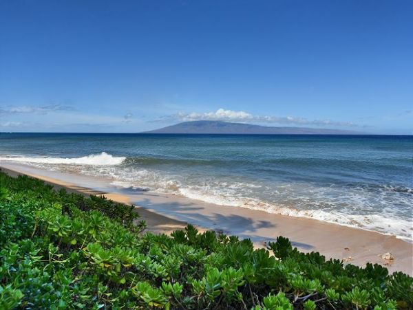 Kaanapali Condo 967487