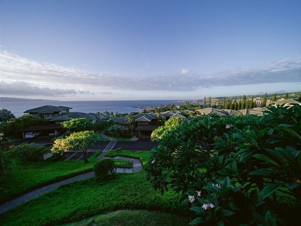 Kapalua Condo 967492