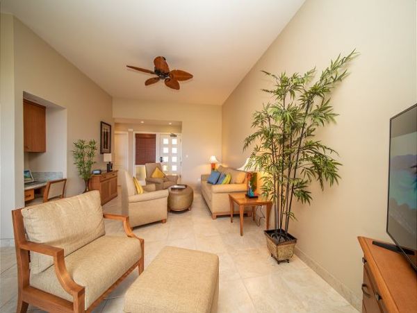 Kapalua Condo 967492
