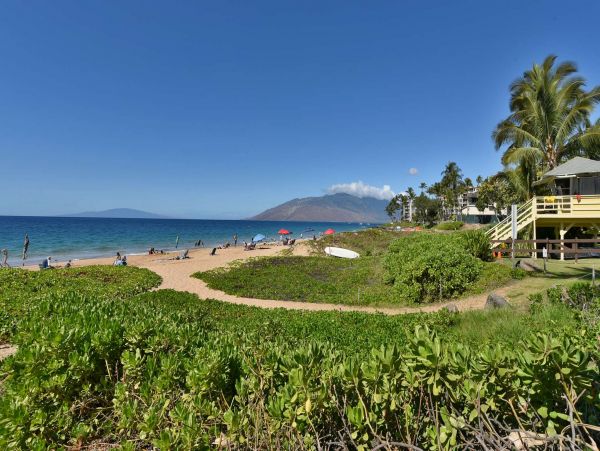 Wailea Condo 967499