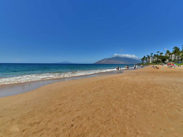 Wailea Condo 967499