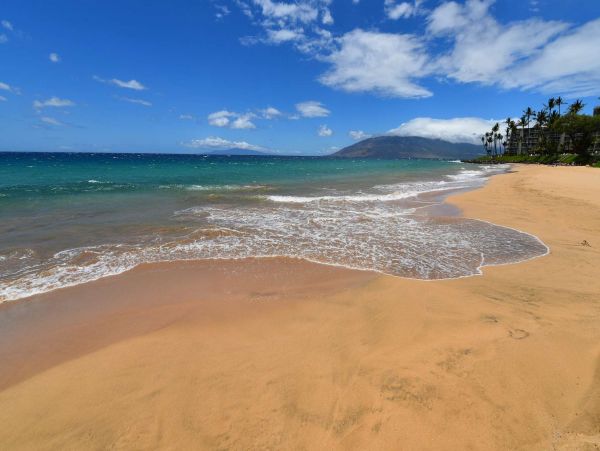 Wailea Condo 967499
