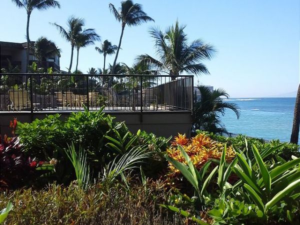 Kaanapali Condo 967502