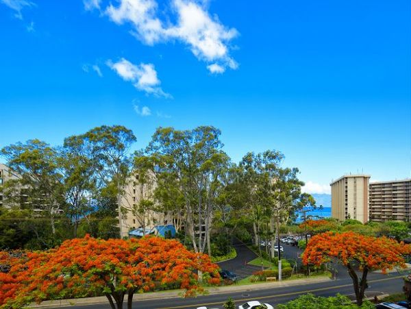 Kahana Condo 967504