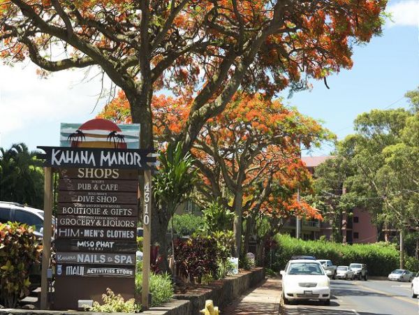Kahana Condo 967504
