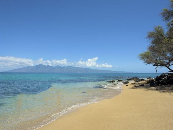 Kahana Condo 967504