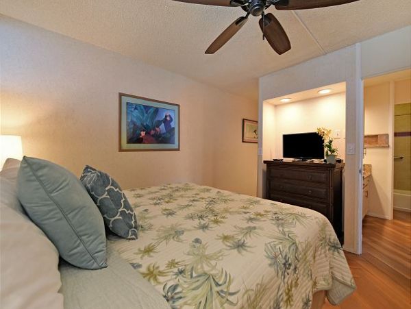 Kaanapali  Maui Condo 967505