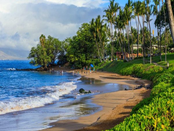 Beautiful Wailea Vacation Condo with Pool Beach Side