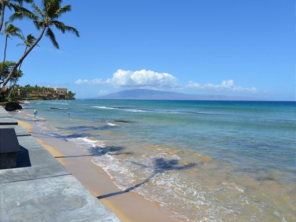 Kaanapali Condo 967516