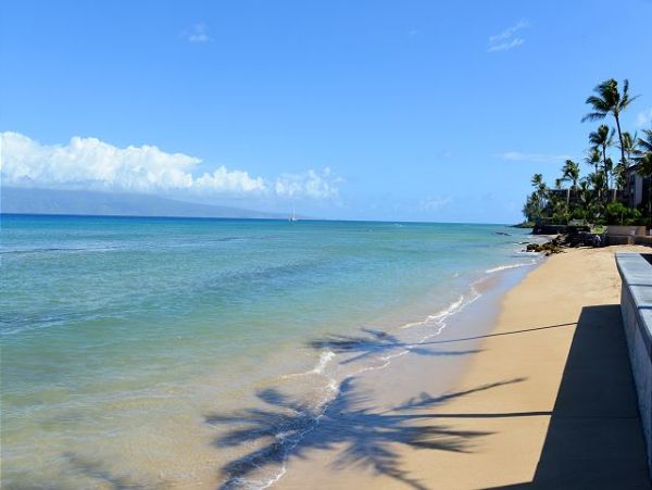 Kaanapali Condo 967516
