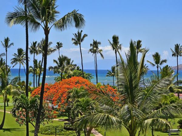Kihei Condo 967517