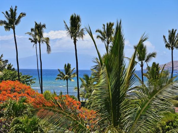 Kihei Condo 967517