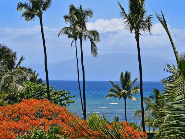 Kihei Condo 967517