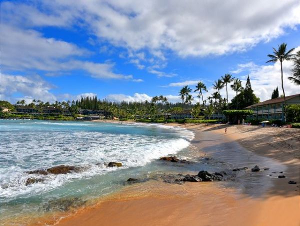 Kaanapali Condo 967521