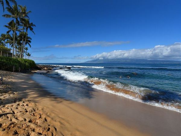 Kaanapali Condo 967521