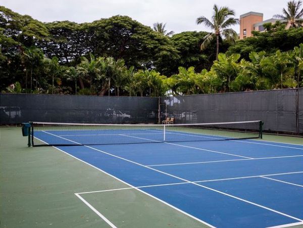 Kaanapali Condo 967525