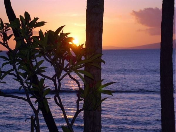 Kaanapali Condo 967526