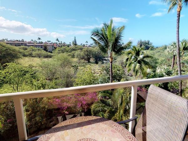 Wailea Condo 967530