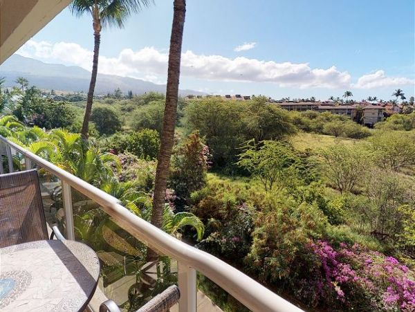 Wailea Condo 967530