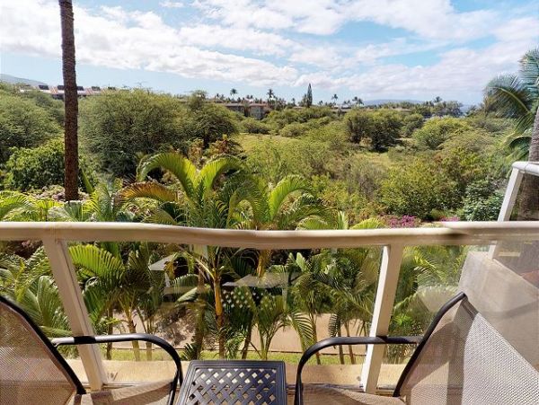 Wailea Condo 967530