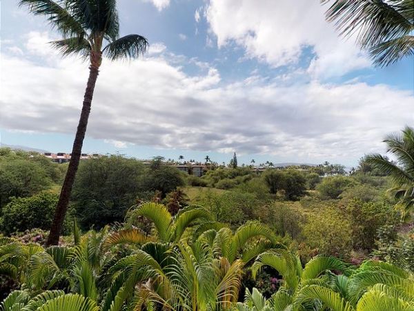 Wailea Condo 967530
