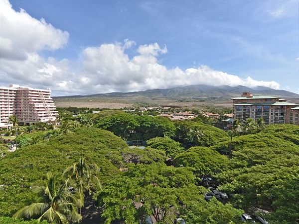 Kaanapali Condo 967532