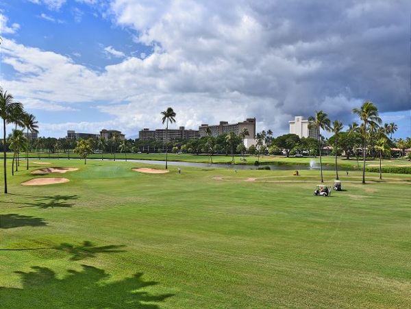 Kaanapali Condo 967535