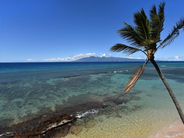 Kaanapali Condo 967536