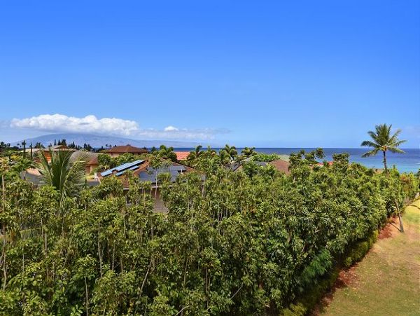 Kahana Condo 967537