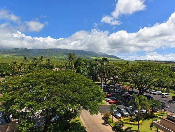 Kaanapali Condo 967538