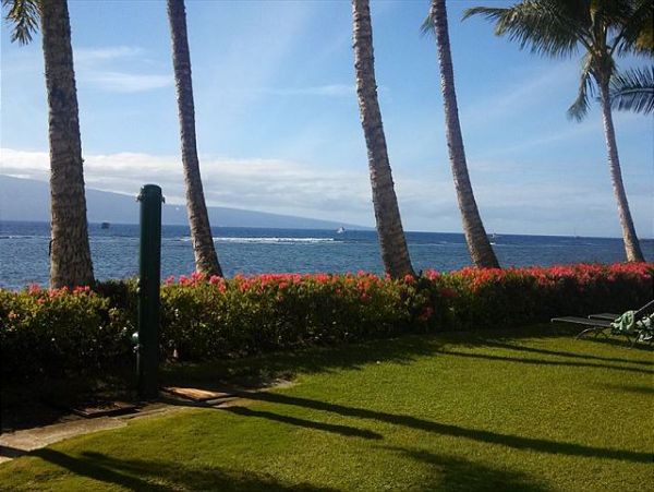 Lahaina One Bedroom Vacation Condo Sleeps 4 Walk To Beach