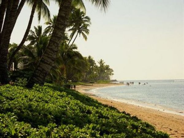 Lahaina One Bedroom Vacation Condo Sleeps 4 Walk To Beach